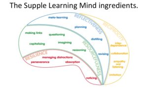 The Supple Learning Mind ingredients