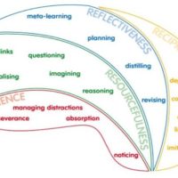 The Supple Learning Mind ingredients