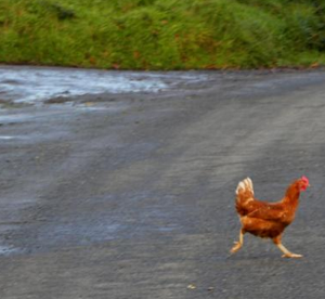 Screen Shot 2015-08-18 at 13.23.50