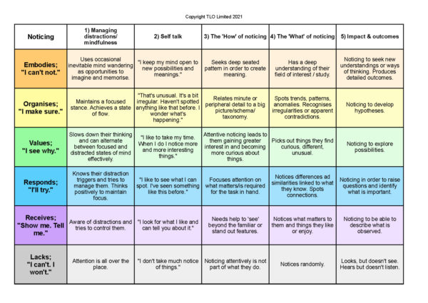 Noticing Grid_Colour