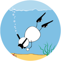 BPL Noticing Noticing