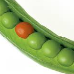 Screen Shot 2016-08-16 at 12.02.09