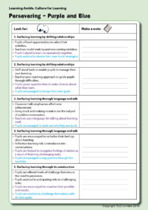 learning-amble_persevering_v3