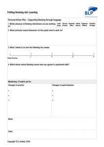 Personal Action Plan-Revising