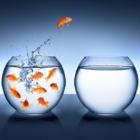 goldfish jumping - improvement and career concept