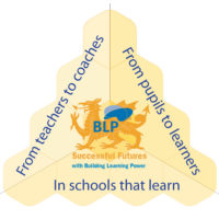 FAQ Successful-Futures-with-BLP_-honey-comb