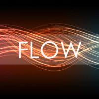 Help your learners to . . . be absorbed Flow (1)